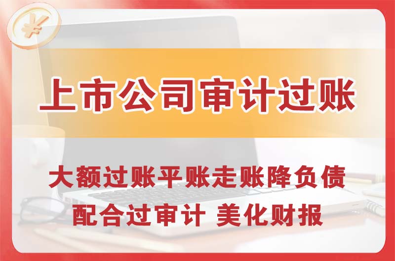 栾城上市公司审计过账